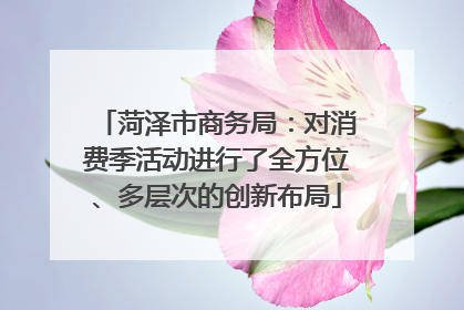 菏泽市商务局：对消费季活动进行了全方位、多层次的创新布局