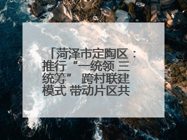 菏泽市定陶区：推行“一统领 三统筹” 跨村联建模式 带动片区共同富裕