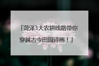 菏泽3大农耕线路带你穿越古今田园诗画！