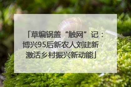 草编锅盖“触网”记：博兴95后新农人刘建新激活乡村振兴新动能