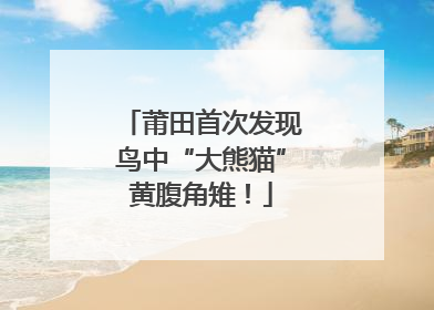 莆田首次发现鸟中“大熊猫”黄腹角雉！