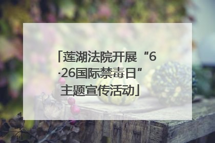 莲湖法院开展“6·26国际禁毒日”主题宣传活动