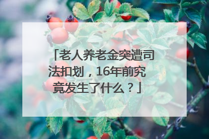 老人养老金突遭司法扣划，16年前究竟发生了什么？