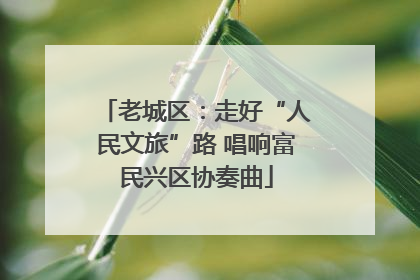 老城区：走好“人民文旅”路 唱响富民兴区协奏曲