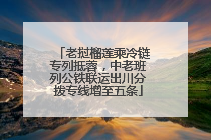 老挝榴莲乘冷链专列抵蓉，中老班列公铁联运出川分拨专线增至五条
