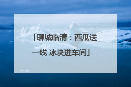 聊城临清：西瓜送一线 冰块进车间