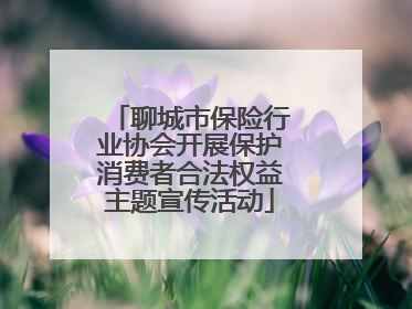 聊城市保险行业协会开展保护消费者合法权益主题宣传活动