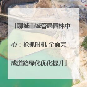 聊城市城管局园林中心：抢抓时机 全面完成道路绿化优化提升