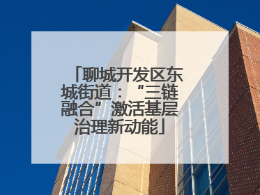 聊城开发区东城街道：“三链融合”激活基层治理新动能