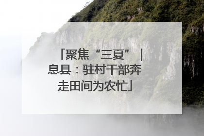 聚焦“三夏”｜息县：驻村干部奔走田间为农忙