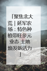 聚焦北大荒｜延军农场：特色种植带旺多元业态 土地焕发新活力