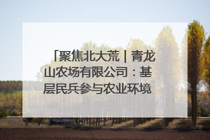 聚焦北大荒｜青龙山农场有限公司：基层民兵参与农业环境综合治理显效