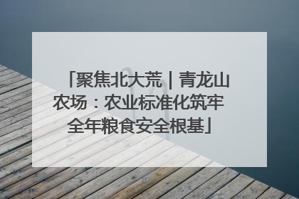 聚焦北大荒｜青龙山农场：农业标准化筑牢全年粮食安全根基