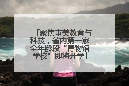 聚焦审美教育与科技，省内第一家全年龄段“博物馆学校”即将开学