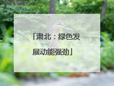肃北：绿色发展动能强劲