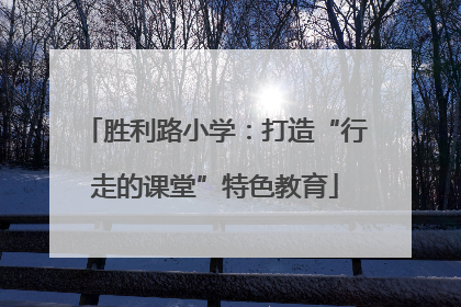 胜利路小学：打造“行走的课堂”特色教育