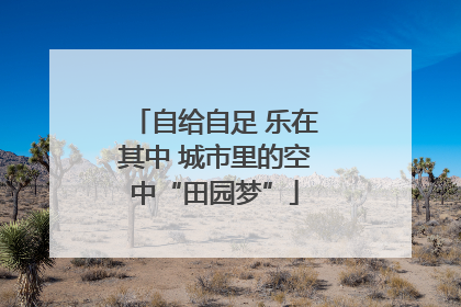 自给自足 乐在其中 城市里的空中“田园梦”