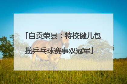 自贡荣县：特校健儿包揽乒乓球赛事双冠军