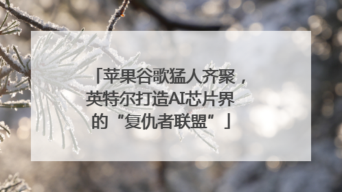 苹果谷歌猛人齐聚，英特尔打造AI芯片界的“复仇者联盟”