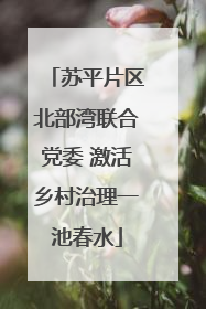 苏平片区北部湾联合党委 激活乡村治理一池春水