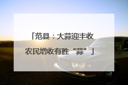 范县：大蒜迎丰收 农民增收有胜“蒜”