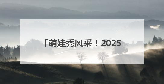 萌娃秀风采！2025“滕王阁杯”南昌市幼儿篮球联赛圆满落幕
