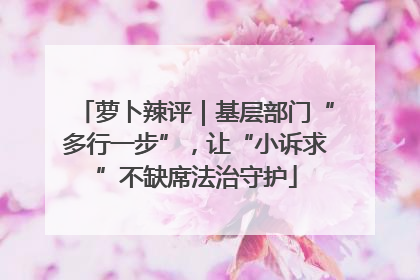 萝卜辣评｜基层部门“多行一步”，让“小诉求”不缺席法治守护