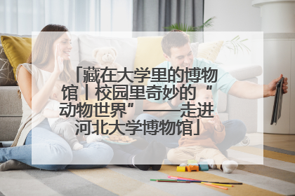 藏在大学里的博物馆丨校园里奇妙的“动物世界”——走进河北大学博物馆