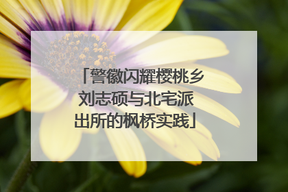 警徽闪耀樱桃乡 刘志硕与北宅派出所的枫桥实践