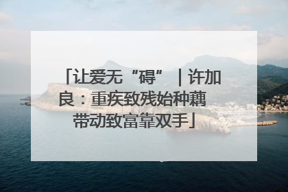 让爱无“碍”｜许加良：重疾致残始种藕 带动致富靠双手