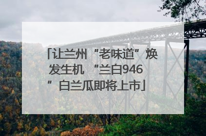 让兰州“老味道”焕发生机 “兰白946”白兰瓜即将上市