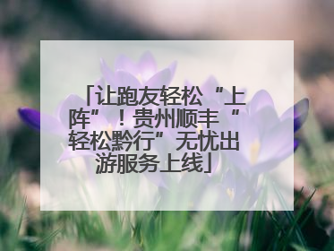 让跑友轻松“上阵”！贵州顺丰“轻松黔行”无忧出游服务上线
