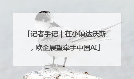 记者手记｜在小镇达沃斯，欧企展望牵手中国AI