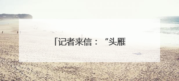 记者来信：“头雁”是这样炼成的