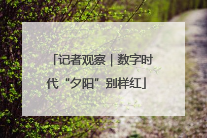 记者观察｜数字时代“夕阳”别样红