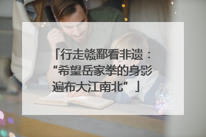 行走赣鄱看非遗：“希望岳家拳的身影遍布大江南北”