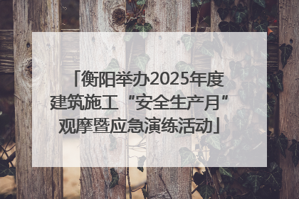 衡阳举办2025年度建筑施工“安全生产月”观摩暨应急演练活动