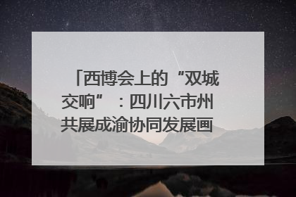 西博会上的“双城交响”：四川六市州共展成渝协同发展画卷｜西博视界