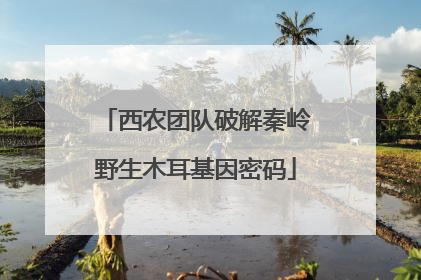 西农团队破解秦岭野生木耳基因密码