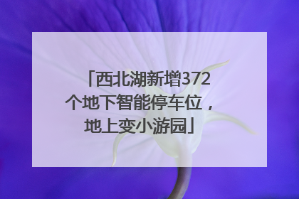 西北湖新增372个地下智能停车位，地上变小游园