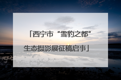 西宁市“雪豹之都”生态摄影展征稿启事