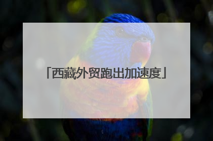 西藏外贸跑出加速度