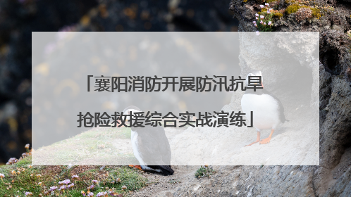 襄阳消防开展防汛抗旱抢险救援综合实战演练