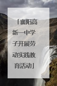 襄阳高新一中学子开展劳动实践教育活动