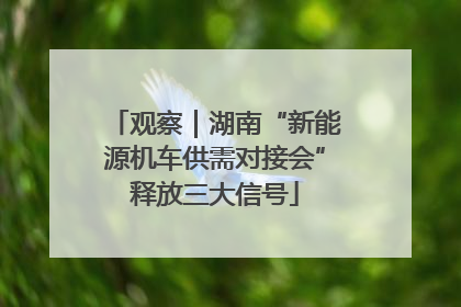 观察｜湖南“新能源机车供需对接会”释放三大信号