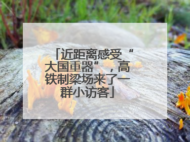 近距离感受“大国重器”，高铁制梁场来了一群小访客