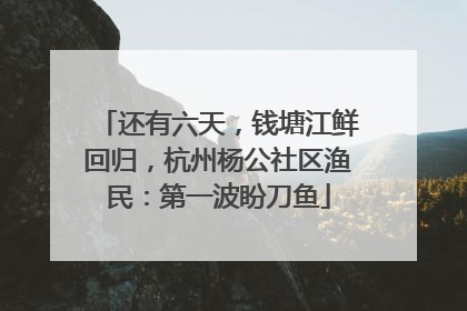 还有六天，钱塘江鲜回归，杭州杨公社区渔民：第一波盼刀鱼