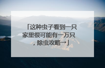 这种虫子看到一只家里很可能有一万只，除虫攻略→
