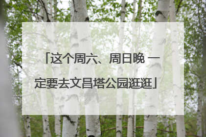 这个周六、周日晚 一定要去文昌塔公园逛逛