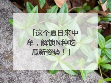 这个夏日来中牟，解锁N种吃瓜新姿势！